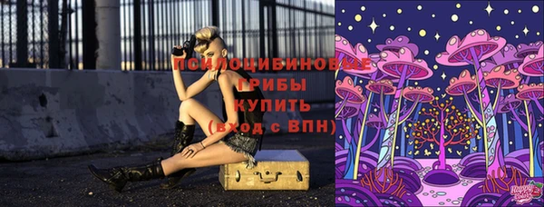 марки nbome Новозыбков