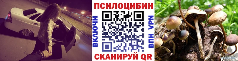 Псилоцибиновые грибы MAGIC MUSHROOMS  ОМГ ОМГ сайт  Туран 
